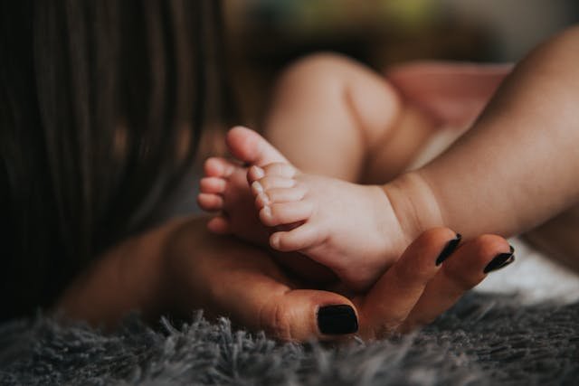 Bebek Pandufu Bakımı: Temizlik ve Uzun Ömür İçin İpuçları - Pufien