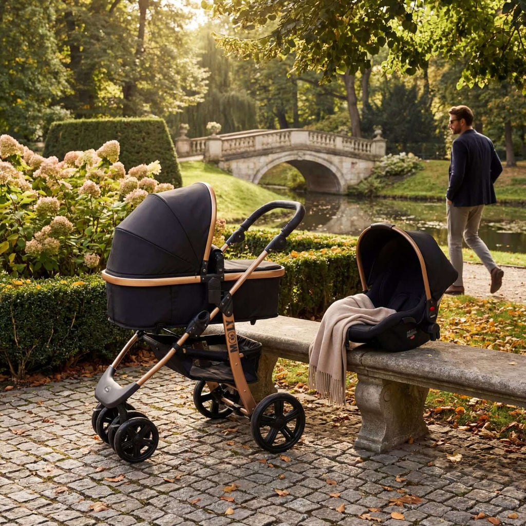 travel bebek arabası antrasit